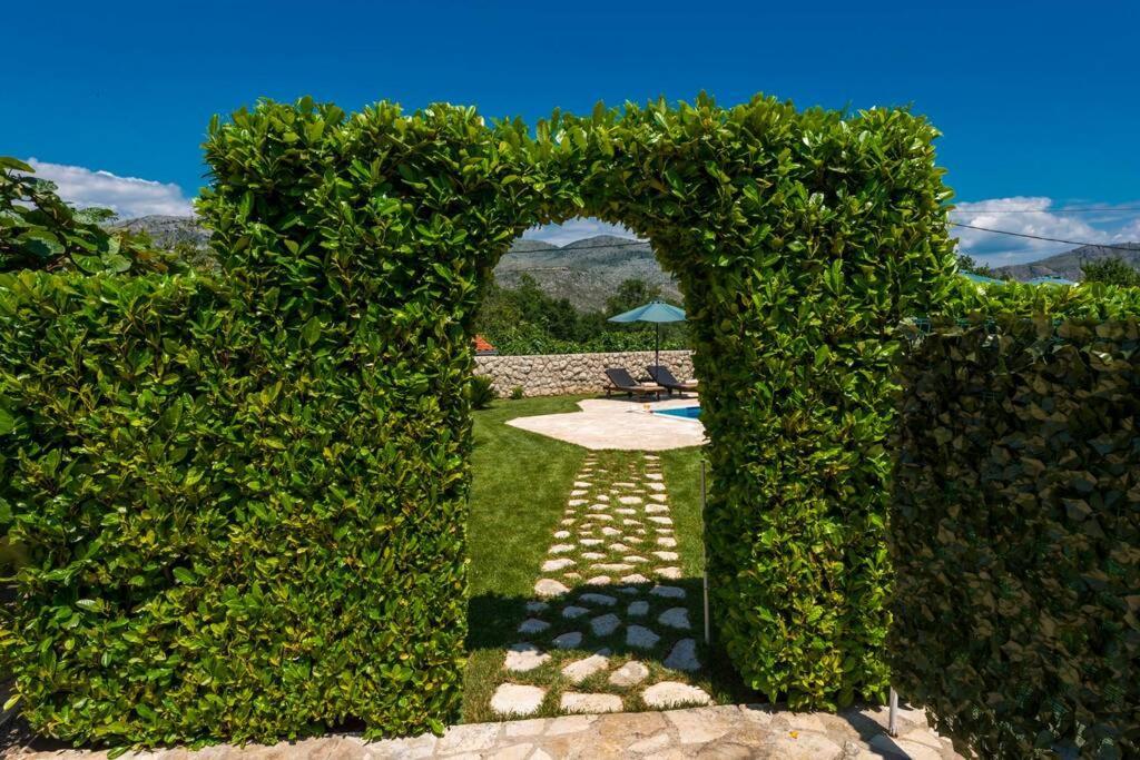 Vila Vergatum-Privacy,Gym,Billiards,Table Tennis Donji Brgat Dış mekan fotoğraf